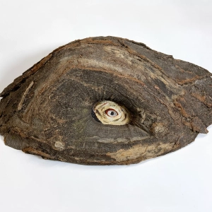 The eye - 2025, oil on gifted wood, 18 x 24 inch